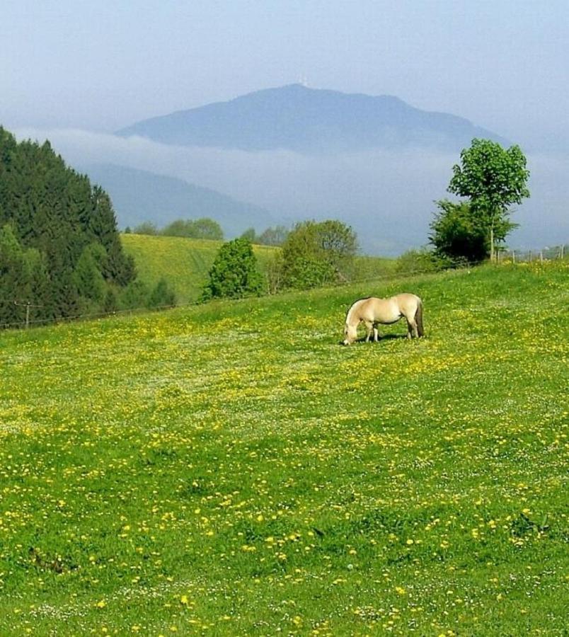 Urlaub Auf Dem Haberlhof Villa Lohberg Bagian luar foto