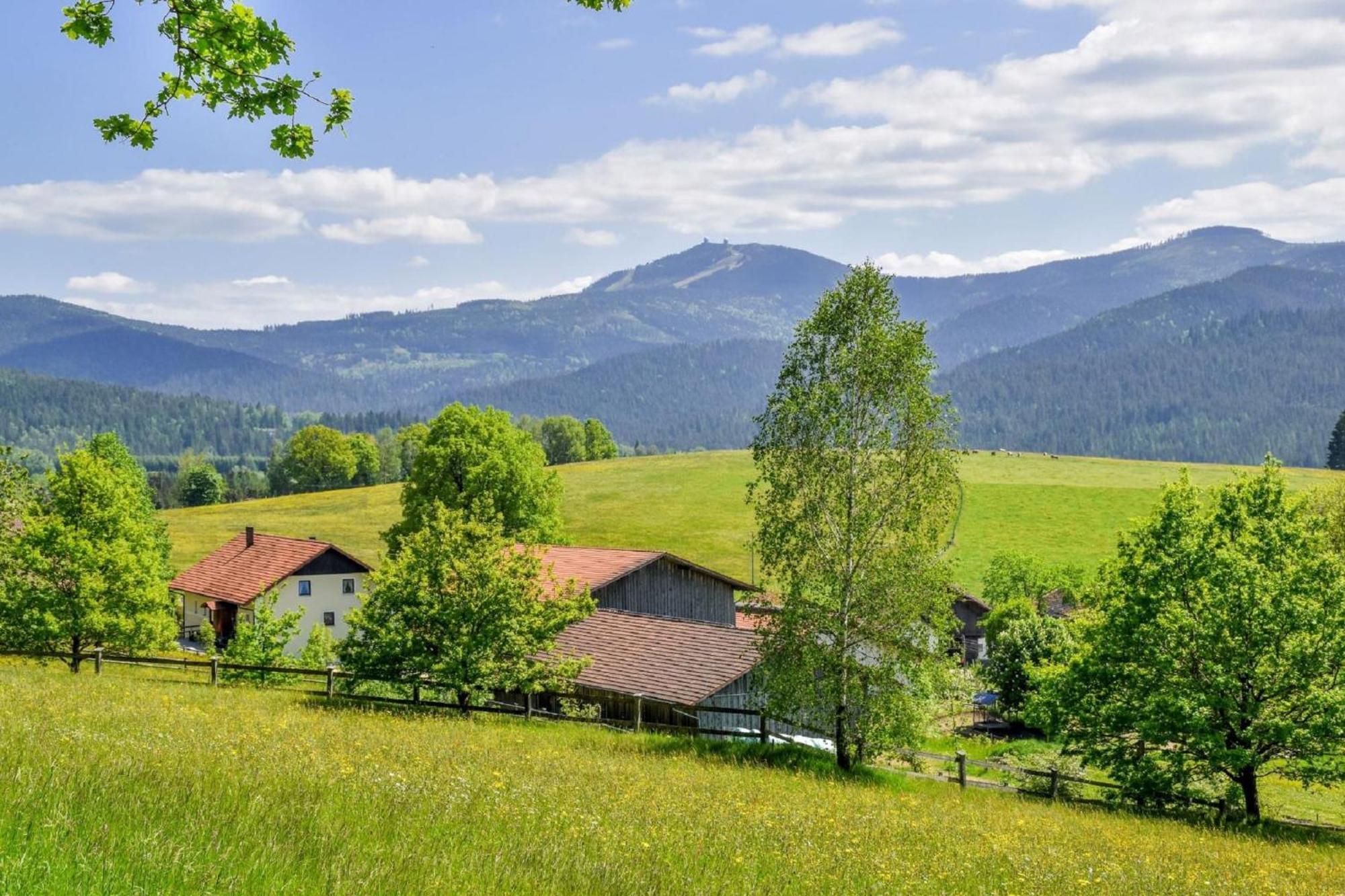 Urlaub Auf Dem Haberlhof Villa Lohberg Bagian luar foto